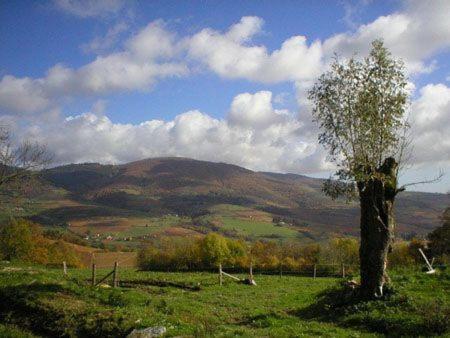 فيلا Le Colombier D'Amalthee Vernay المظهر الخارجي الصورة